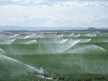 新聞動(dòng)態(tài)
