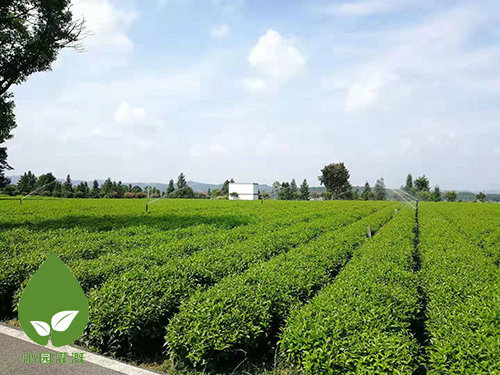 農(nóng)業(yè)噴灌