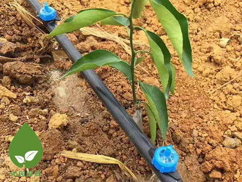 農(nóng)業(yè)滴灌 