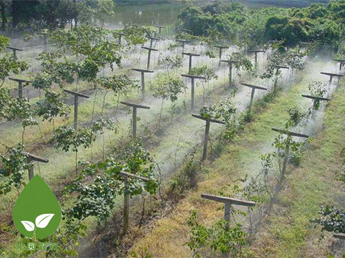 農(nóng)業(yè)微灌