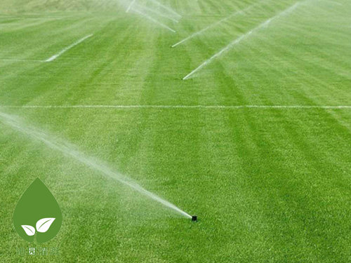 足球場噴灌 