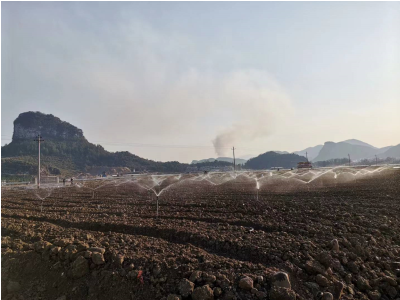 江華縣韭菜噴灌