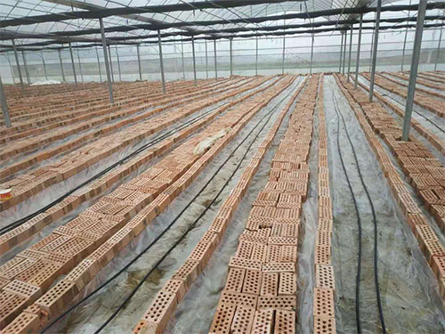 湖南農(nóng)業(yè)水肥一體化灌溉,湖南別墅庭院智能灌溉,長沙沁園灌溉有限公司