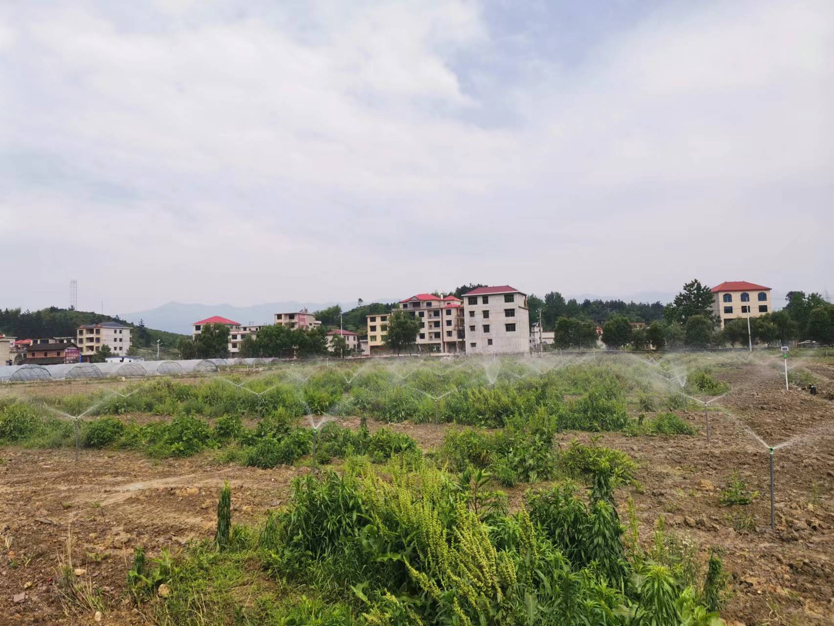 湖南農(nóng)業(yè)水肥一體化灌溉,湖南別墅庭院智能灌溉,長(zhǎng)沙沁園灌溉有限公司,湖南足球場(chǎng)噴灌,長(zhǎng)沙足球場(chǎng)噴灌,足球場(chǎng)噴灌,足球場(chǎng)灌溉,長(zhǎng)沙足球場(chǎng)灌溉,湖南足球場(chǎng)灌溉