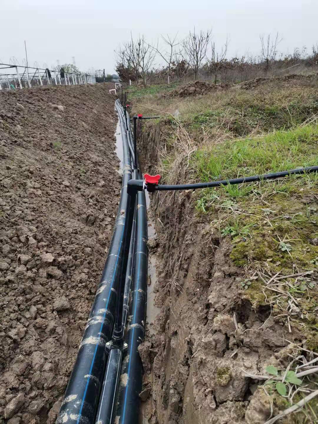 湖南農(nóng)業(yè)水肥一體化灌溉,湖南別墅庭院智能灌溉,長沙沁園灌溉有限公司,湖南足球場噴灌,長沙足球場噴灌,足球場噴灌,足球場灌溉,長沙足球場灌溉,湖南足球場灌溉