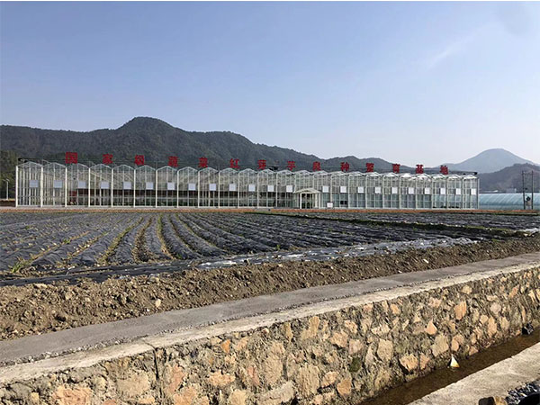 湖南農(nóng)業(yè)水肥一體化灌溉,湖南別墅庭院智能灌溉,長(zhǎng)沙沁園灌溉有限公司,湖南足球場(chǎng)噴灌,長(zhǎng)沙足球場(chǎng)噴灌,足球場(chǎng)噴灌,足球場(chǎng)灌溉,長(zhǎng)沙足球場(chǎng)灌溉,湖南足球場(chǎng)灌溉